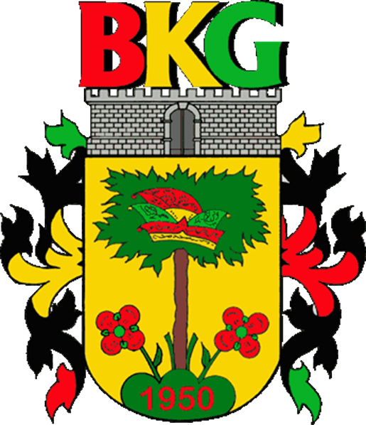 BKG Logo
